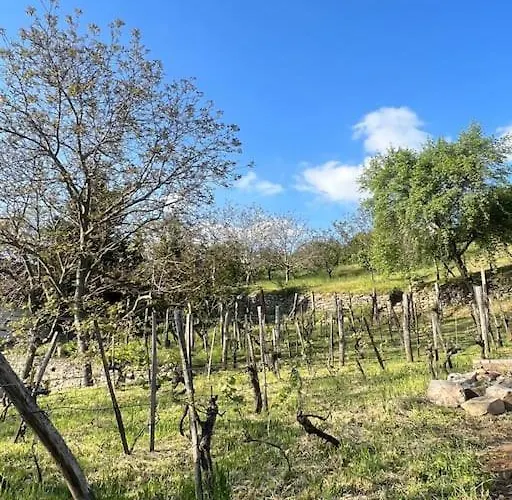 Csendar Balaton Holiday home Hegymagas